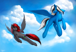 Size: 1600x1091 | Tagged: safe, artist:l1nkoln, oc, oc only, oc:buffonsmash, oc:dicemare, species:pegasus, species:pony, amazing, art, background, beautiful, black, black and red, black and white, blank flank, blue oc, blue sky, cloud, commission, couple, cute, cutiemarking, digital, digital art, duo, female, flying, freckles, grayscale, green eyes, grey oc, looking at each other, looking back, male, mare, monochrome, painted, pretty, red, red eyes, shading, sky, smiling, spread wings, stallion, white, wings