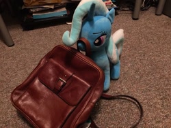 Size: 1024x768 | Tagged: safe, artist:ramivic, character:trixie, species:pony, species:unicorn, episode:to where and back again, g4, my little pony: friendship is magic, bag, defictionalization, female, irl, mare, photo, plushie, scene interpretation, to saddlebags and back again