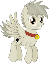 Size: 1427x1876 | Tagged: safe, artist:soulakai41, oc, oc only, oc:bolt the super pony, species:pegasus, species:pony, collar, flying, male, simple background, solo, stallion, transparent background