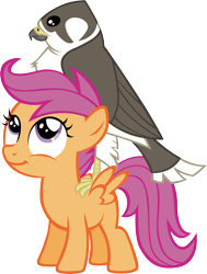 Size: 2615x3464 | Tagged: safe, artist:astringe, character:scootaloo, species:bird, species:pegasus, species:pony, falcon, female, filly, peregrine falcon, pet, simple background, solo, transparent background, vector