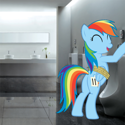 Size: 1010x1008 | Tagged: safe, artist:alexpony, artist:therockinstallion, character:rainbow dash, species:pony, episode:fall weather friends, g4, my little pony: friendship is magic, bathroom, but why, female, irl, photo, ponies in real life, promingent female, solo, toilet, urinal