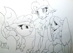 Size: 1024x754 | Tagged: safe, artist:evergreen-gemdust, oc, oc only, oc:capern, parent:pinkie pie, parent:prince rutherford, parents:pinkieford, species:draconequus, species:pony, black and white, female, grayscale, hybrid, mare, monochrome, mother and daughter, offspring, sketch, species swap, traditional art, trio, watermark, yakony