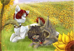 Size: 1023x703 | Tagged: safe, artist:ognevitsa, oc, oc only, species:earth pony, species:pegasus, species:pony, female, male, mare, prone, stallion, sunflower, tongue out