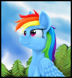 Size: 1140x1240 | Tagged: safe, artist:sonicrainboom93, character:rainbow dash, female, solo