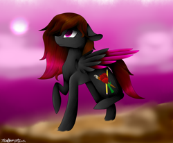 Size: 1024x843 | Tagged: safe, artist:purediamond360, oc, oc only, species:pegasus, species:pony, colored wings, female, mare, multicolored wings, raised leg, solo