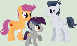 Size: 741x450 | Tagged: safe, artist:lost-our-dreams, character:rumble, character:scootaloo, oc, oc:crash boomer, parent:rumble, parent:scootaloo, parents:rumbloo, species:pegasus, species:pony, ship:rumbloo, colt, male, offspring, older, shipping, simple background, straight