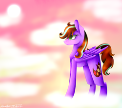Size: 1024x907 | Tagged: safe, artist:purediamond360, oc, oc only, species:pegasus, species:pony, cloud, female, mare, solo