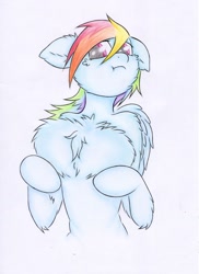 Size: 1024x1410 | Tagged: safe, artist:rurihal, character:rainbow dash, species:pegasus, species:pony, cheek fluff, chest fluff, female, floppy ears, impossibly large chest fluff, mare, solo, traditional art