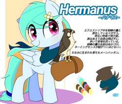 Size: 897x768 | Tagged: safe, artist:erufi, oc, oc only, oc:hermanus, species:pegasus, species:pony, clothing, falcon, falconry, falconry hood, female, hawk, japanese, mare, peregrine falcon, reference sheet, scarf, simple background, solo, white background