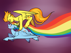 Size: 4000x3000 | Tagged: safe, artist:heyerika, character:rainbow dash, character:spitfire, species:pegasus, species:pony, ship:spitdash, blushing, duo, female, flying, forehead kiss, lesbian, mare, purple background, rainbow trail, shipping, simple background