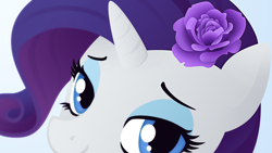Size: 1920x1080 | Tagged: safe, artist:gingermint, artist:icekatze, character:rarity, species:pony, species:unicorn, bust, female, flower, gradient background, horn, lineless, mare, portrait, solo, wallpaper