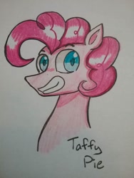 Size: 966x1288 | Tagged: safe, artist:ponime11, character:pinkie pie, species:earth pony, species:pony, bubble berry, bust, male, portrait, rule 63, solo, stallion, traditional art