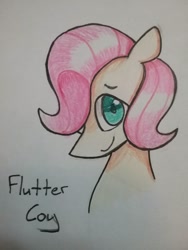 Size: 966x1288 | Tagged: safe, artist:ponime11, character:fluttershy, species:pony, bust, butterscotch, male, portrait, rule 63, solo, stallion, traditional art
