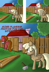Size: 1280x1882 | Tagged: safe, artist:geneticanomaly, character:mjölna, oc, oc:pun, species:earth pony, species:pegasus, species:pony, ask pun, ask, camera, female, fence, hammer, mare, pun, race swap