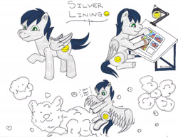 Size: 2189x1691 | Tagged: safe, artist:jamestkelley, oc, oc:silver lining, species:pegasus, species:pony, cartoonist, cat, cloud, cloud sculpting, drawing, flower, male, smiley face, smiling, solo, stallion