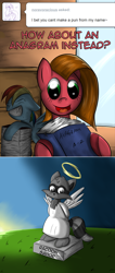 Size: 600x1414 | Tagged: safe, artist:geneticanomaly, character:rainbow dash, oc, oc:pun, species:pony, ask pun, anagram, ask, book, female, mare, raccoon