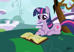 Size: 842x593 | Tagged: safe, artist:sandra626, character:twilight sparkle, book, female, grass, reading, shadow, sky, solo