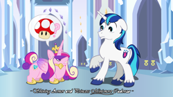 Size: 1564x874 | Tagged: safe, artist:ultrathehedgetoaster, character:princess cadance, character:shining armor, species:alicorn, species:pony, species:unicorn, corgi pony, crystal empire, dialogue, female, floppy ears, gritted teeth, hoof shoes, male, mare, pictogram, pun, raised hoof, short, shrunk, shrunk in the wash, speech bubble, stallion, stubby, super mario bros., super mushroom, unamused, unshorn fetlocks, wavy mouth, wide eyes, worried