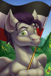 Size: 2000x3000 | Tagged: safe, artist:rrd-artist, oc, oc only, species:pegasus, species:pony, commission, flag, german empire, grass, green eyes, hill, looking at you, male, sky, solo, stallion