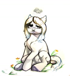 Size: 1280x1393 | Tagged: safe, artist:rrd-artist, oc, oc only, species:earth pony, species:pony, :c, cloud, cute, ear fluff, frown, horseshoes, raincloud, sad, shoulder fluff, solo, traditional art, watercolor painting, watercolour