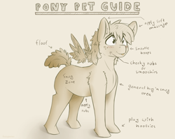 Size: 1810x1440 | Tagged: safe, artist:fuzzypones, oc, oc only, unnamed oc, species:pegasus, species:pony, anatomy guide, blep, cute, ear fluff, floating wings, fluffy tail, guide, silly, solo, tongue out