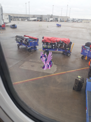 Size: 1277x1703 | Tagged: safe, artist:joeydr, photographer:joeydr, character:twilight sparkle, character:twilight sparkle (alicorn), species:alicorn, species:pony, airport, female, irl, looking at you, luggage, mare, photo, ponies in real life, smiling, solo, spread wings, wings