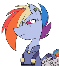 Size: 716x800 | Tagged: safe, artist:gintoki23, character:rainbow dash, species:pony, episode:the cutie re-mark, alternate timeline, amputee, apocalypse dash, augmented, crystal war timeline, eye scar, female, hair over one eye, no pupils, prosthetic limb, prosthetic wing, prosthetics, scar, simple background, solo, torn ear, transparent background