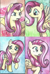 Size: 600x884 | Tagged: safe, artist:astevenamedwolf, character:fluttershy, species:pegasus, species:pony, female, folded wings, indignant, looking at you, looking away, mare, pointing, raised hoof, smiling, solo, split screen, spread wings, surprised, traditional art, wings