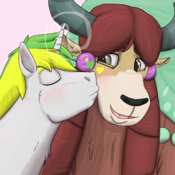 Size: 1800x1800 | Tagged: safe, artist:azurllinate, character:yona, oc, oc:sol bright, species:pony, species:unicorn, species:yak, blushing, braid, brown eyes, canon x oc, close-up, couple, eyes closed, green hair, hair beads, horns, interspecies, interspecies love, kiss on the cheek, kissing, love, smiling, two toned mane, yellow hair
