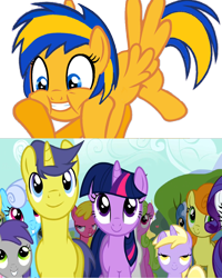 Size: 1212x1515 | Tagged: safe, artist:mlpfan3991, edit, edited screencap, screencap, character:cherry berry, character:comet tail, character:dinky hooves, character:linky, character:pokey pierce, character:rarity, character:shoeshine, character:tornado bolt, character:twilight sparkle, oc, oc:flare spark, species:pony, ship:cometlight, episode:the last roundup, g4, my little pony: friendship is magic, female, male, ponies standing next to each other, reaction, shipping, straight, sunshine hearts