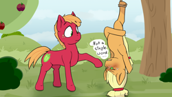 Size: 2560x1440 | Tagged: safe, artist:fuzzypones, character:applejack, character:big mcintosh, species:earth pony, species:pony, episode:going to seed, g4, my little pony: friendship is magic, :t, anatomically incorrect, blushing, brother and sister, colt, colt big macintosh, covering, duo, embarrassed, female, filly, filly applejack, foal, freckles, frown, glare, grass, incorrect leg anatomy, male, outdoors, raised hoof, rope, siblings, silly, silly pony, snare trap, stuck, trap, tree, upside down, who's a silly pony, wide eyes, younger