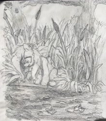 Size: 3024x3452 | Tagged: safe, artist:jimmyjamno1, character:fluttershy, species:pegasus, species:pony, cattails, female, folded wings, grayscale, looking at something, looking down, mare, monochrome, outdoors, pencil drawing, pond, reflection, sad, sitting, solo, three quarter view, traditional art, tree, water lily, wings