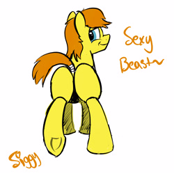 Size: 3750x3750 | Tagged: safe, artist:siggyderp, oc, oc only, oc:siggy, species:earth pony, species:pony, butt, looking at you, looking back, looking back at you, male, plot, raised hoof, raised tail, signature, simple background, solo, stallion, tail, tail wrap, text, underhoof, white background