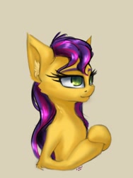 Size: 774x1032 | Tagged: safe, artist:coldtrail, oc, species:pony, female, practice, simple background, solo
