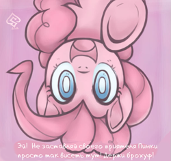 Size: 583x550 | Tagged: safe, artist:soulspade, edit, character:pinkie pie, species:pony, cyrillic, female, fourth wall, hoofbump, in which pinkie pie forgets how to gravity, pinkie being pinkie, pinkie physics, russian, solo, translation, underhoof, upside down