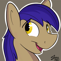 Size: 5000x5000 | Tagged: safe, artist:siggyderp, oc, oc only, species:pony, commission, icon, male, profile picture, signature, solo, stallion