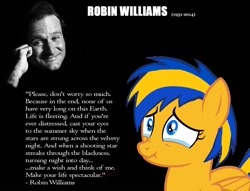 Size: 1024x781 | Tagged: safe, artist:mlpfan3991, oc, oc:flare spark, species:pegasus, species:pony, crying, photo, quote, robin williams, tears of pain, text