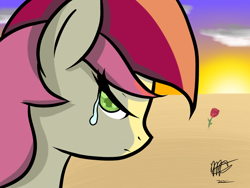 Size: 1024x768 | Tagged: safe, artist:mister-markers, character:roseluck, crying, desert, female, rose, solo
