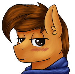 Size: 2016x2000 | Tagged: safe, artist:sevenserenity, oc, oc only, oc:toanderic, species:pegasus, species:pony, birthday, blushing, bust, clothing, looking at you, portrait, scarf