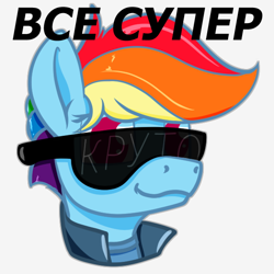 Size: 604x604 | Tagged: safe, artist:dacaoo, character:rainbow dash, species:pony, bust, cyrillic, female, mare, portrait, russian, simple background, smug, solo, sunglasses, three quarter view, translated in the comments, white background