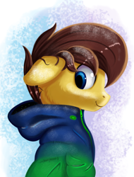 Size: 2206x2900 | Tagged: safe, artist:qbellas, oc, species:pony, clothing, jacket, simple background, solo, winter