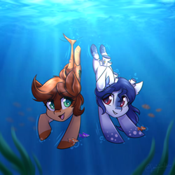 Size: 2000x2000 | Tagged: safe, artist:sonigiraldo, oc, oc only, species:earth pony, species:pony, species:sea pony, commission, duo, female, high res, mare, racing, swimming, underwater, water