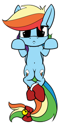Size: 1250x2250 | Tagged: safe, artist:dacaoo, character:rainbow dash, species:pony, bell, bow, clothing, female, looking at you, simple background, socks, solo, tail bow, transparent background