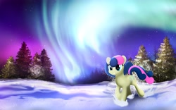 Size: 5120x3200 | Tagged: safe, artist:startledflowerpony, character:bon bon, character:sweetie drops, species:pony, aurora borealis, female, snow, solo, tree