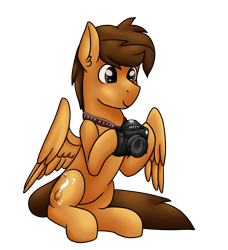 Size: 4230x4644 | Tagged: safe, artist:sevenserenity, oc, oc only, oc:toanderic, species:pegasus, species:pony, 2020 community collab, derpibooru community collaboration, camera, male, simple background, sitting, solo, stallion, transparent background