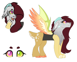 Size: 2500x2000 | Tagged: safe, artist:koloredkat, oc, oc only, oc:eris, parent:discord, parent:fluttershy, parents:discoshy, species:draconequus, chest fluff, draconequus oc, female, heterochromia, hybrid, interspecies offspring, looking up, not eris, offspring, reference sheet, simple background, story included, transparent background