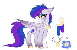 Size: 2500x1650 | Tagged: safe, artist:koloredkat, oc, oc only, oc:astral, parent:rainbow dash, parent:twilight sparkle, parents:twidash, species:pegasus, species:pony, colored hooves, dock, eye scar, female, jewelry, magical lesbian spawn, mare, necklace, offspring, pegasus oc, reference sheet, scar, simple background, solo, transparent background, wings