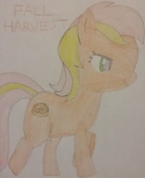 Size: 1893x2318 | Tagged: safe, artist:jerryakiraclassics19, oc, oc only, oc:fall harvest, species:earth pony, species:pony, female, mare, recolor, traditional art