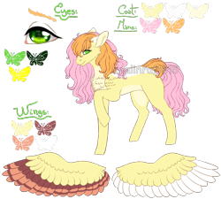 Size: 1002x900 | Tagged: safe, artist:malinraf1615, oc, oc only, oc:ema, parent:big macintosh, parent:fluttershy, parents:fluttermac, species:pegasus, species:pony, chest fluff, colored wings, female, mare, multicolored wings, next generation, offspring, raised hoof, reference sheet, simple background, solo, transparent background, watermark, wings