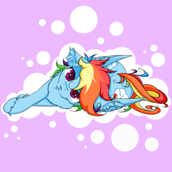 Size: 2500x2500 | Tagged: safe, artist:rurihal, character:rainbow dash, species:pegasus, species:pony, both cutie marks, chest fluff, cute, dashabetes, ear fluff, female, looking at you, solo
